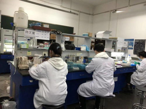 感受生物科技，創造無限未來——生物化工產品技術研發的社會實踐體會