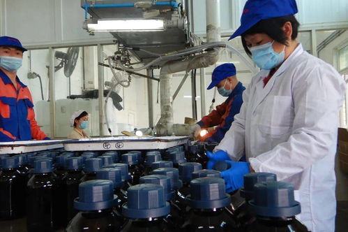 感恩前行 光華科技，不止于中國精細化工50強，深耕生物化工產品技術研發
